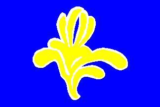 Brussels-Flag-1991-to-2015-2.png